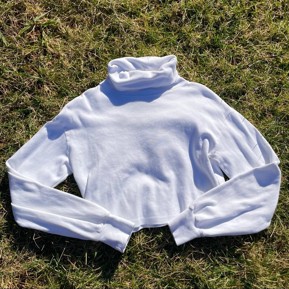 Brandy Melville Crop Turtleneck